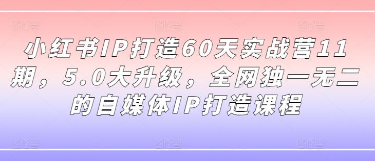 小红书IP打造60天实战营11期，5.0大升级，全网独一无二的自媒体IP打造课程-小艾网创