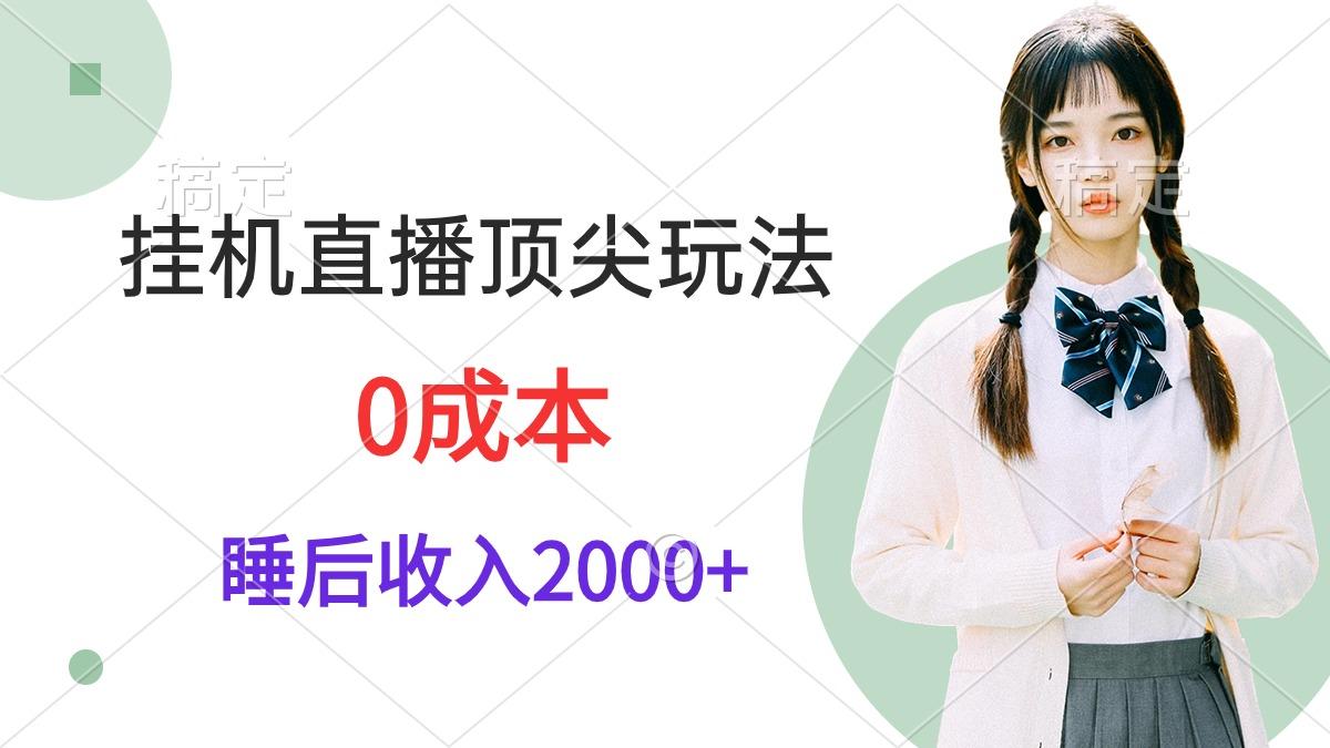 (9715期)挂机直播顶尖玩法，睡后日收入2000+、0成本，视频教学-小艾网创