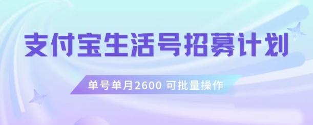 支付宝生活号作者招募计划，单号单月2600，可批量去做，工作室一人一个月轻松1w+【揭秘】-小艾网创