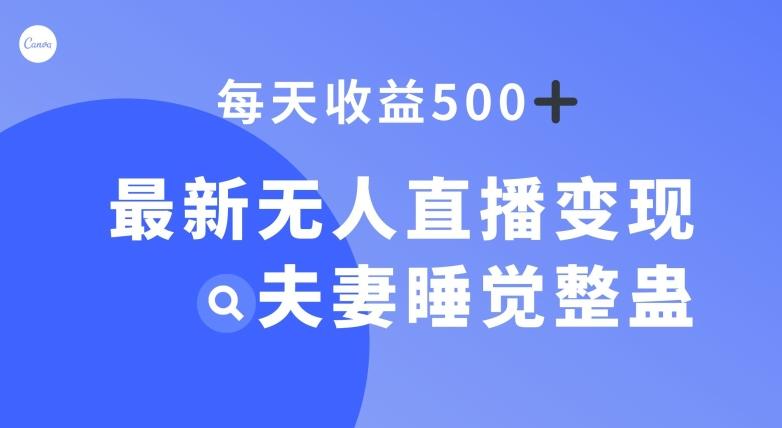 最新无人直播变现，夫妻睡觉整蛊，每天躺赚500+【揭秘】-小艾网创