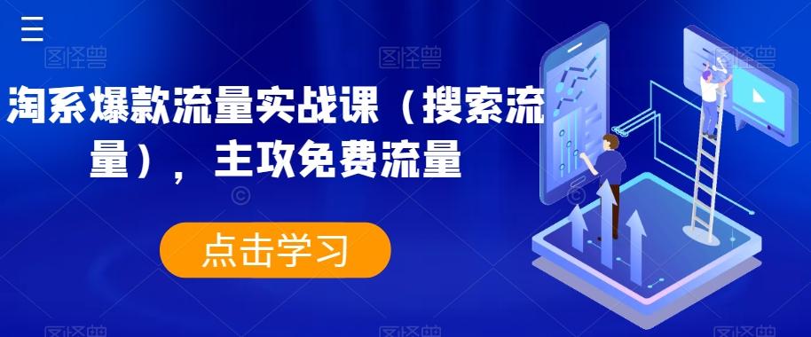 淘系爆款流量实战课（搜索流量），主攻免费流量-小艾网创