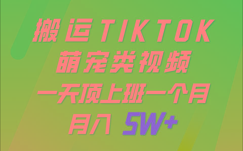 一键搬运TIKTOK萌宠类视频，一部手机即可操作，所有平台均可发布 轻松月入5W+-小艾网创
