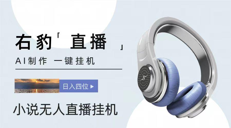 右豹小说无人直播挂机吸金项目,简单易行收益稳定, 月入1000+-小艾网创