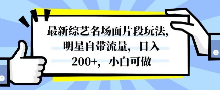 最新综艺名场面片段玩法，明星自带流量，日入200+，小白可做【揭秘】-小艾网创