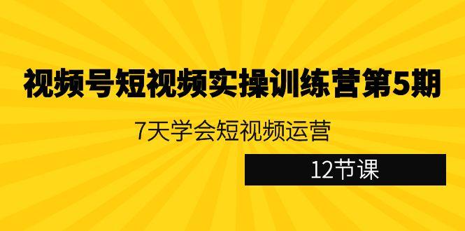 视频号短视频实操训练营第5期：7天学会短视频运营(12节课)-小艾网创