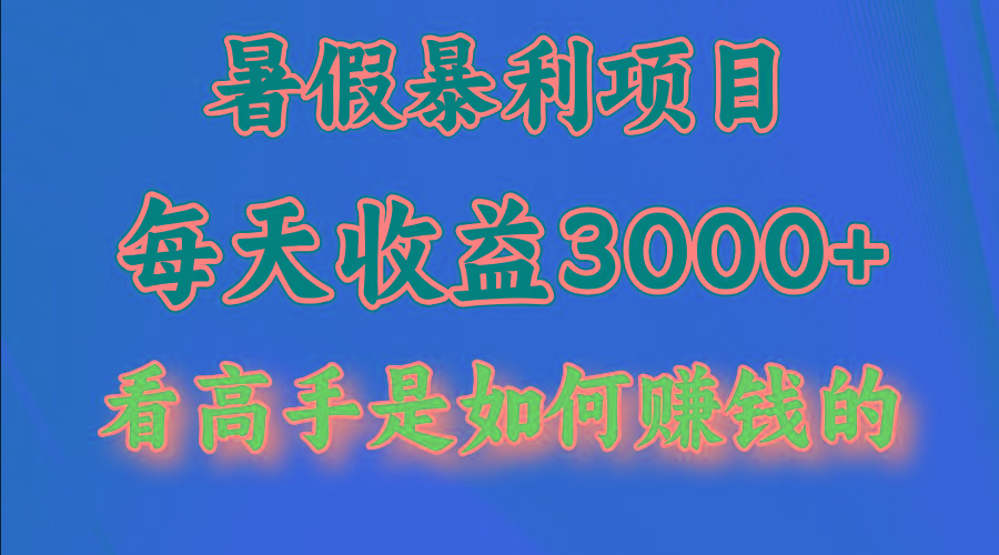 暑假暴力项目 1天收益3000+，视频号，快手，不露脸直播.次日结算-小艾网创