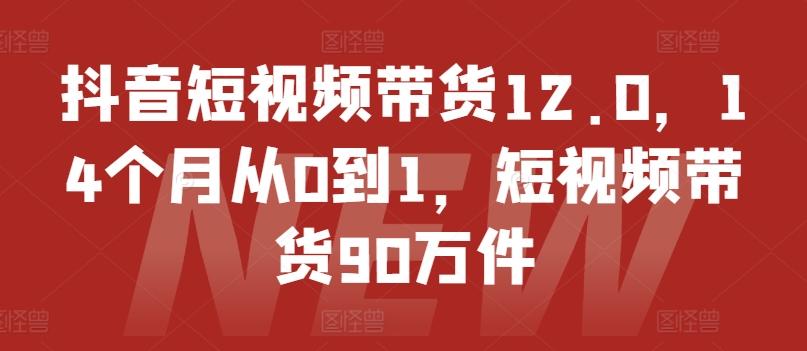 抖音短视频带货12.0，14个月从0到1，短视频带货90万件-小艾网创