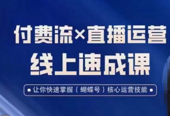 视频号付费流实操课程，付费流✖️直播运营速成课，让你快速掌握视频号核心运营技能-小艾网创
