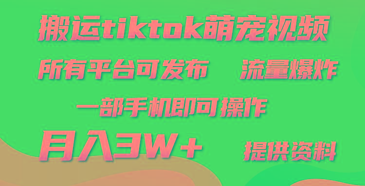 (9618期)搬运Tiktok萌宠类视频，一部手机即可。所有短视频平台均可操作，月入3W+-小艾网创