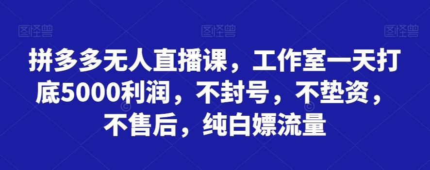 拼多多无人直播课，工作室一天打底5000利润，不封号，不垫资，不售后，纯白嫖流量-小艾网创