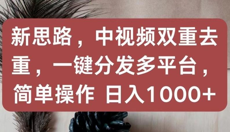 新思路，中视频双重去重，一键分发多平台，简单操作，日入1000+【揭秘】-小艾网创