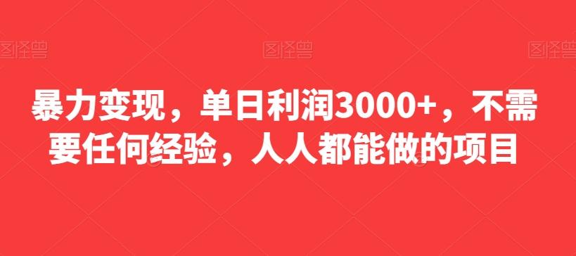 暴力变现，单日利润3000+，不需要任何经验，人人都能做的项目-小艾网创