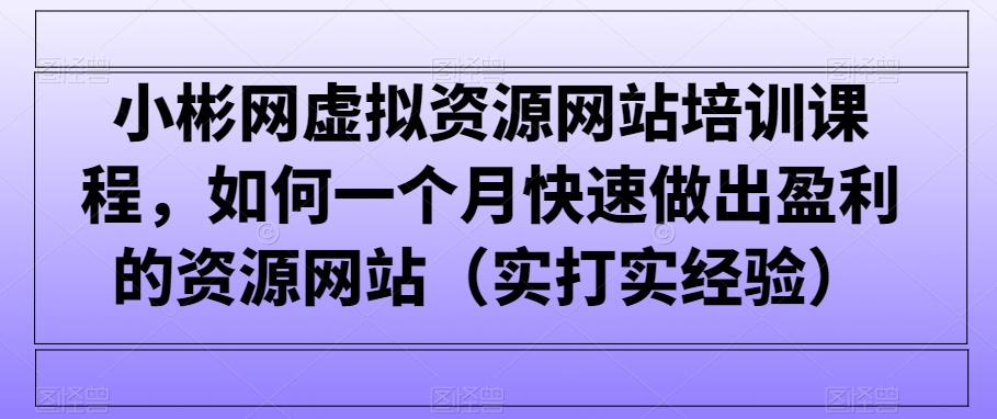 小彬网虚拟资源网站培训课程，如何一个月快速做出盈利的资源网站(实打实经验)-小艾网创
