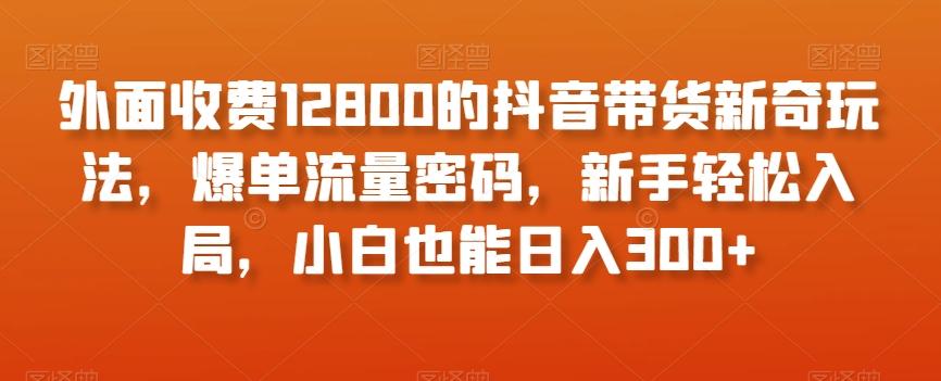 外面收费12800的抖音带货新奇玩法，爆单流量密码，新手轻松入局，小白也能日入300+【揭秘】-小艾网创