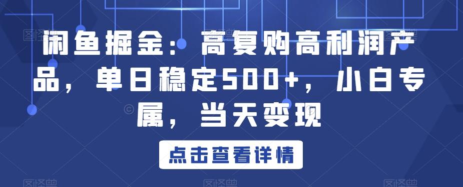 闲鱼掘金：高复购高利润产品，单日稳定500+，小白专属，当天变现-小艾网创