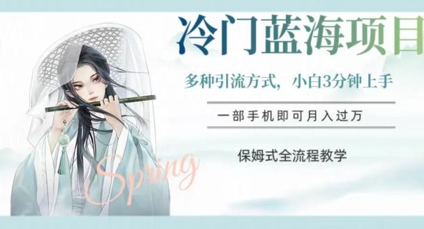 冷门蓝海项目，操作简单，小白3分钟上手，多种引流方式，保姆式全流程教学【揭秘】-小艾网创
