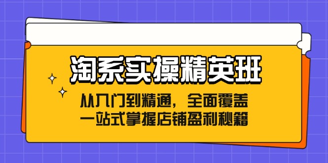 淘系实操精英班：从入门到精通，全面覆盖，一站式掌握店铺盈利秘籍-小艾网创
