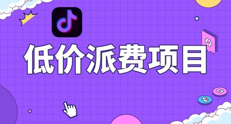 抖音低价派单项目，0门槛，日入1000+很轻松，小白可操作【揭秘】-小艾网创