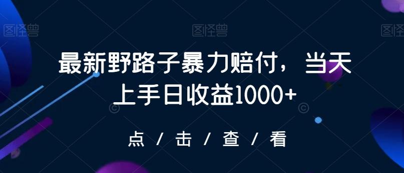 最新野路子暴力赔付，当天上手日收益1000+【仅揭秘】-小艾网创