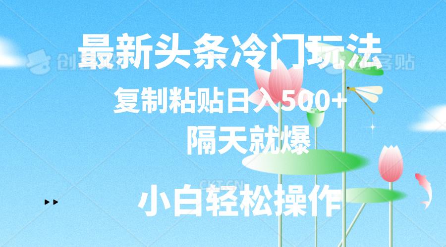 最新头条冷门玩法，隔天就爆，复制粘贴日入500+-小艾网创