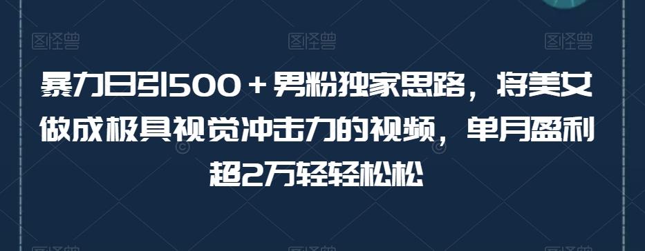 暴力日引500＋男粉独家思路，将美女做成极具视觉冲击力的视频，单月盈利超2万轻轻松松-小艾网创