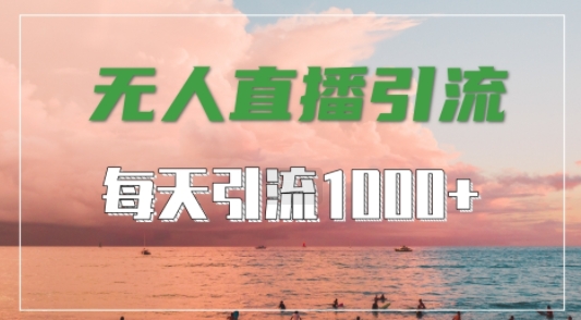 抖音快手视频号全平台通用，无人直播引流法，超暴力引流1000+高质量精准创业粉【揭秘】-小艾网创