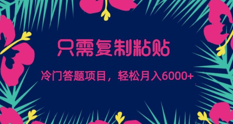 只需复制粘贴，冷门答题项目，轻松月入6000-小艾网创