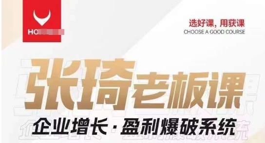 【组合课】张琦张琦老板企业增长·盈利爆破系统（直播专享）-小艾网创