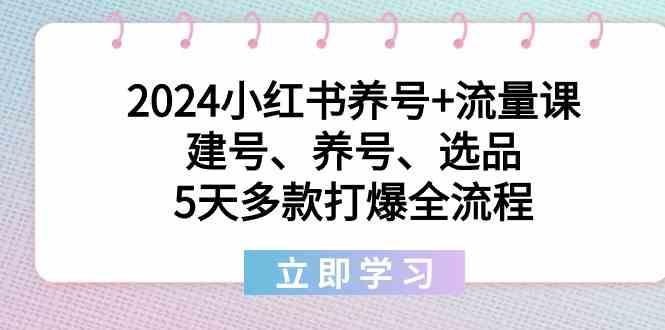 2024小红书养号+流量课：建号、养号、选品，5天多款打爆全流程-小艾网创