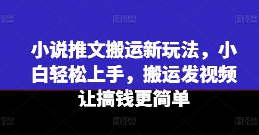 小说推文搬运新玩法，小白轻松上手，搬运发视频让搞钱更简单-小艾网创