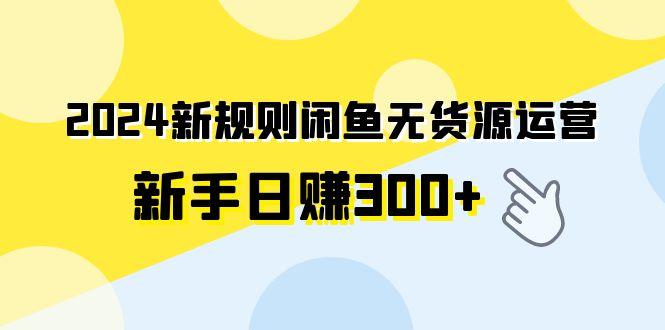 (9522期)2024新规则闲鱼无货源运营新手日赚300+-小艾网创