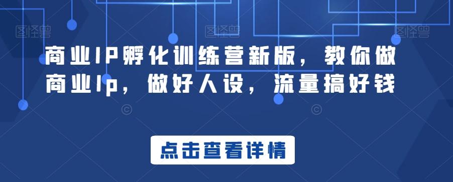 商业IP孵化训练营新版，教你做商业Ip，做好人设，流量搞好钱-小艾网创