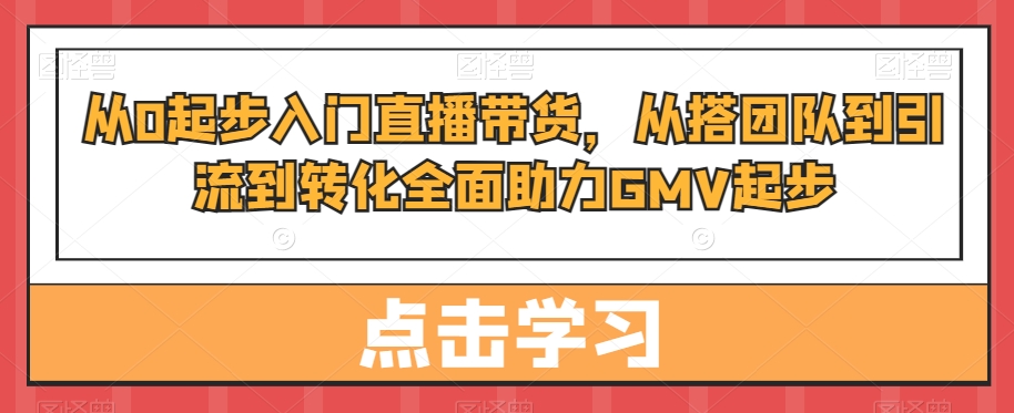 从0起步入门直播带货，​从搭团队到引流到转化全面助力GMV起步-小艾网创