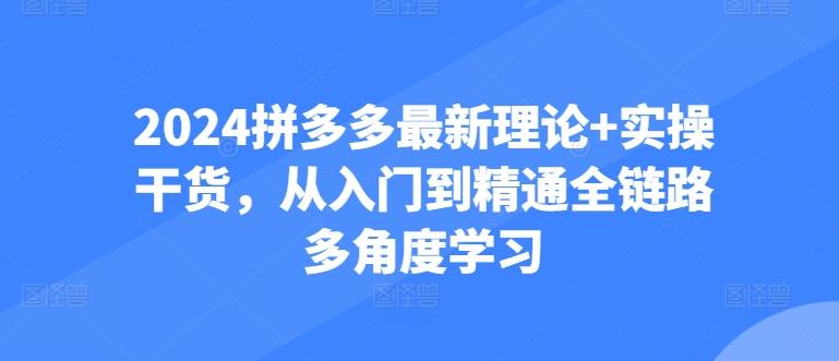 2024拼多多最新理论+实操干货，从入门到精通全链路多角度学习-小艾网创