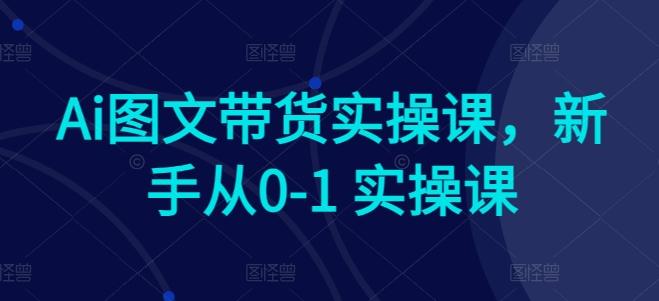 Ai图文带货实操课，新手从0-1 实操课-小艾网创