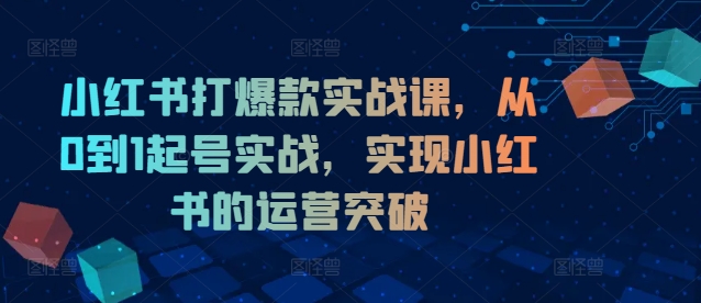 小红书打爆款实战课，从0到1起号实战，实现小红书的运营突破-小艾网创