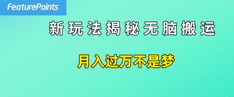 简单操作，每天50美元收入，搬运就是赚钱的秘诀【揭秘】-小艾网创