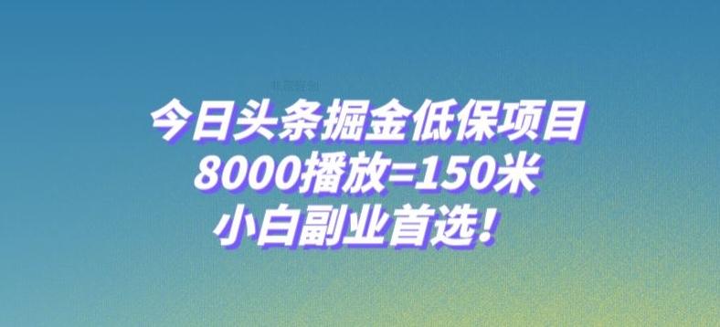 今日头条掘金低保项目，8000播放=150米，小白副业首选【揭秘】-小艾网创