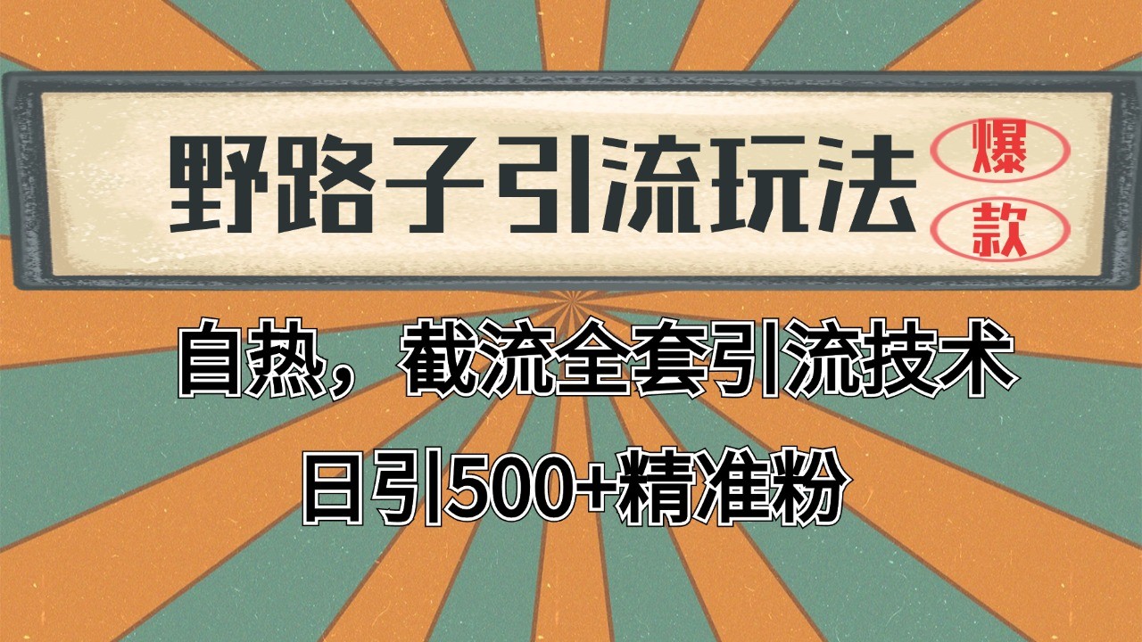 抖音小红书视频号全平台引流打法，全自动引流日引2000+精准客户-小艾网创