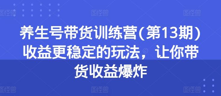 养生号带货训练营(第13期)收益更稳定的玩法，让你带货收益爆炸-小艾网创