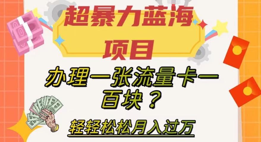 超暴力蓝海项目，办理一张流量卡一百块？轻轻松松月入过万，保姆级教程【揭秘】-小艾网创