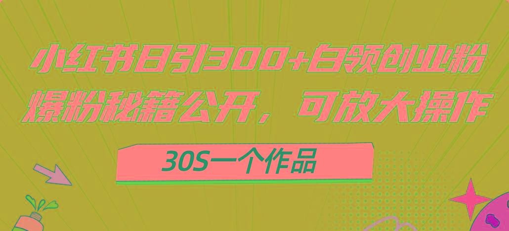 小红书日引300+高质白领创业粉，可放大操作，爆粉秘籍！30s一个作品-小艾网创