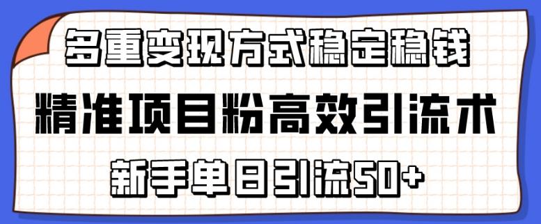 精准项目粉高效引流术，新手单日引流50+，多重变现方式稳定赚钱【揭秘】-小艾网创
