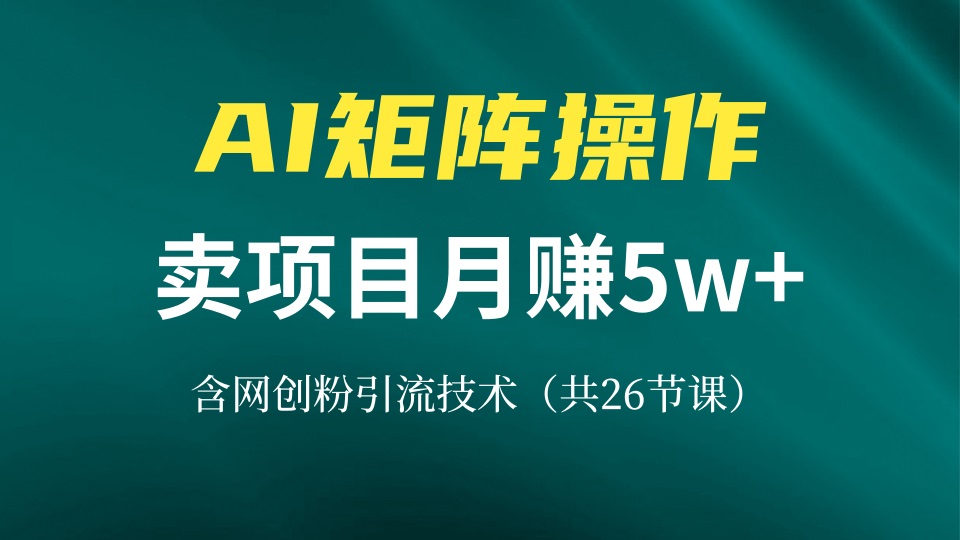 网创IP打造课，借助AI卖项目月赚5万+，含引流技术(共26节课-小艾网创