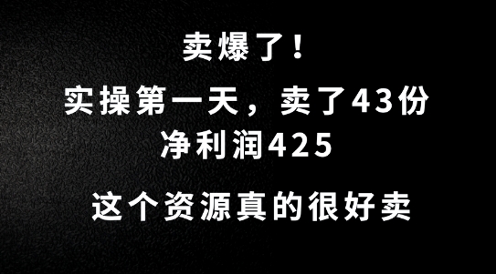 这个资源，需求很大，实操第一天卖了43份，净利润425【揭秘】-小艾网创