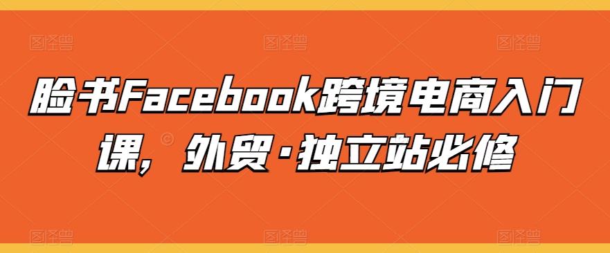 脸书Facebook跨境电商入门课，外贸·独立站必修-小艾网创