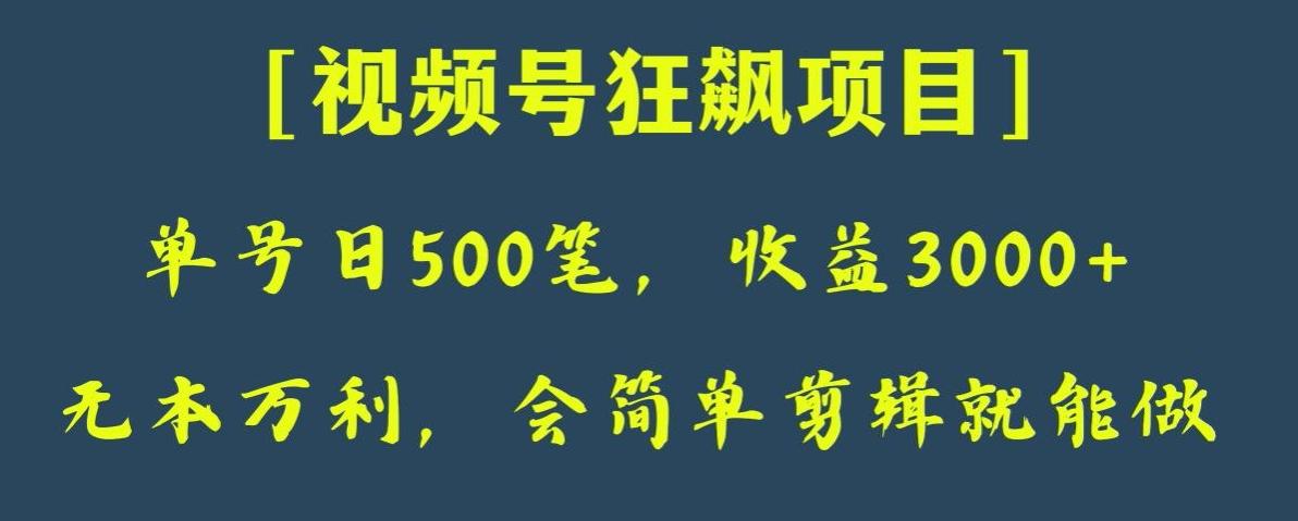 日收款500笔，纯利润3000+，视频号狂飙项目，会简单剪辑就能做【揭秘】-小艾网创