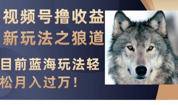 视频号撸收益新玩法之狼道，目前蓝海玩法，轻松月入过万【揭秘】-小艾网创