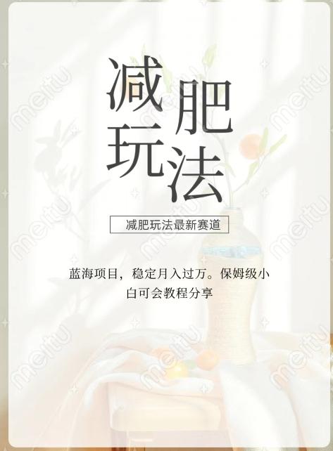 减肥流量主新玩法，轻松月入1W，可矩阵操作收入翻倍-小艾网创