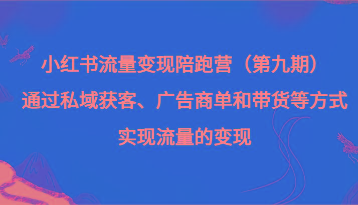小红书流量变现陪跑营（第九期）通过私域获客、广告商单和带货等方式实现流量变现-小艾网创
